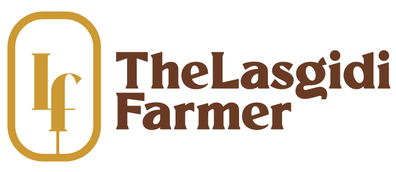 The Lasgidi Farmer