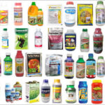 The featured image depicts pesticides in Africa for the this article that talks about the hidden impact of pesticides Africans are not unaware of.